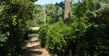 L'exterieur de la maison de location du Cap Ferret